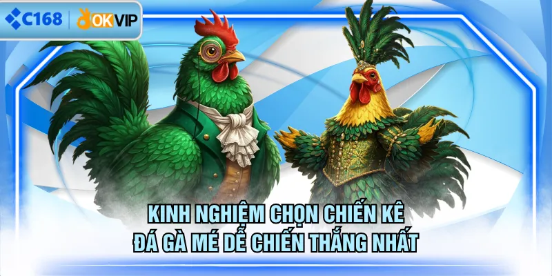 Kinh nghiệm chọn chiến kê đá gà mé dễ chiến thắng nhất